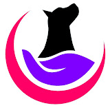 @dogandvet profile image