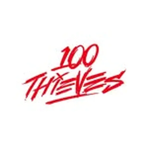 @100thieves.esports profile image