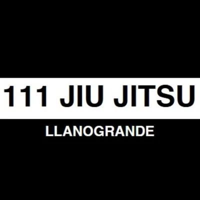 @111jiujitsu profile image