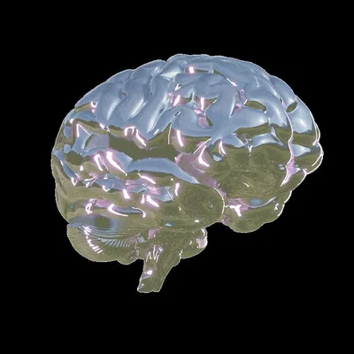 @1brainworld profile image