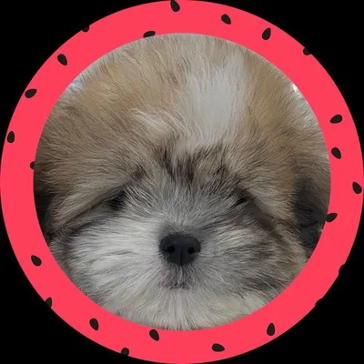 @25.0820.1023_ profile image