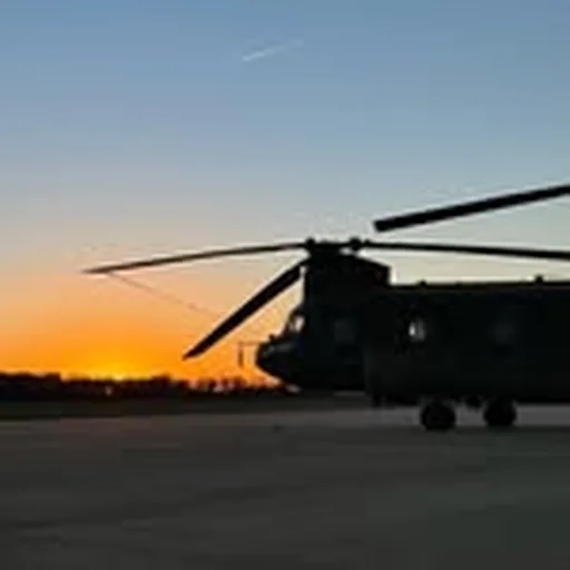 @298_sqn_rnlaf profile image