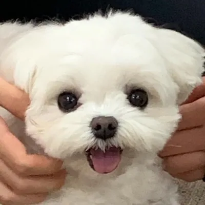 @2_summer_ profile image