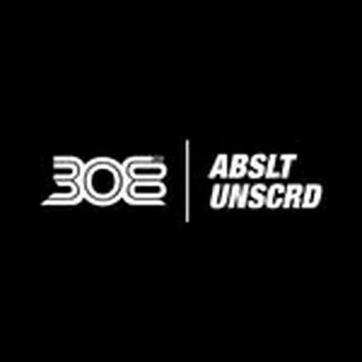 @308absltunscrd profile image