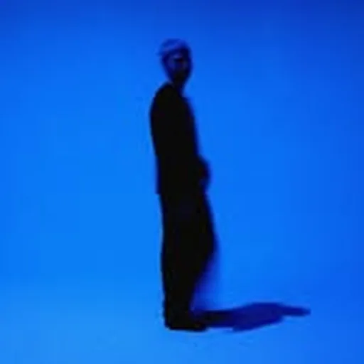 @33_below profile image