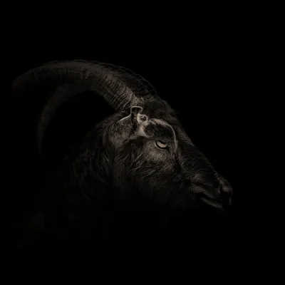 @378fatman profile image