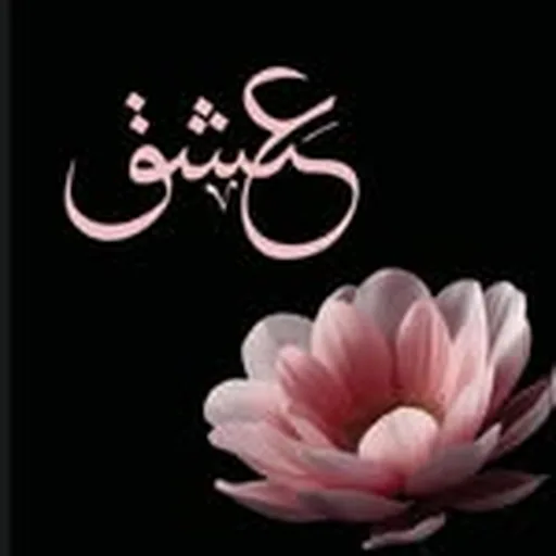 @3shg.ae profile image