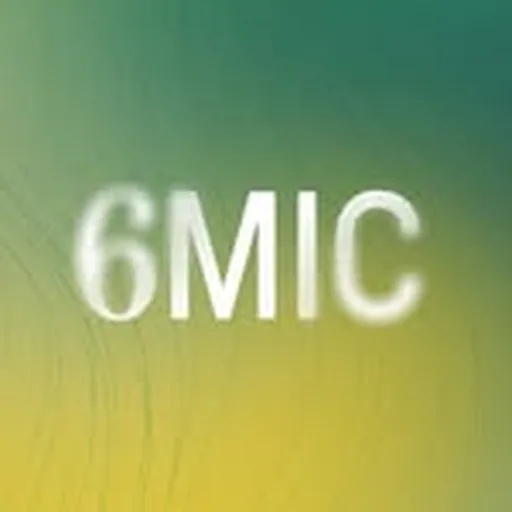 @6micaix profile image