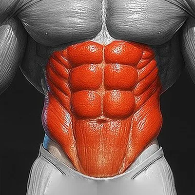 @6packexercises profile image