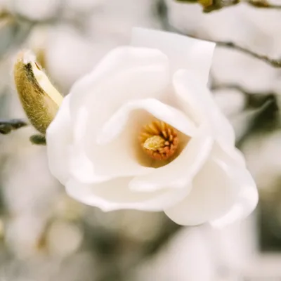 @850714h profile image