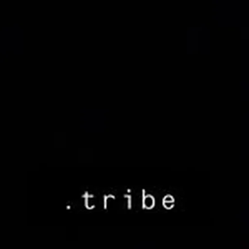 @__.tribe profile image