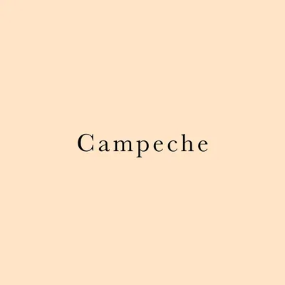 @___campeche profile image