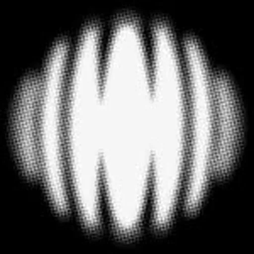 @__mino profile image