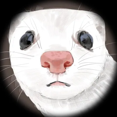 @__siwo0 profile image