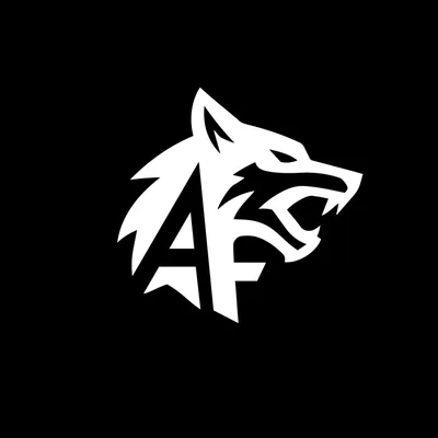 @_alphafit profile image