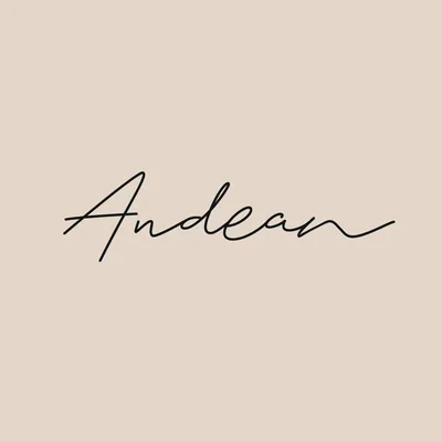 @_andean profile image
