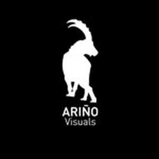 @_avisuals profile image