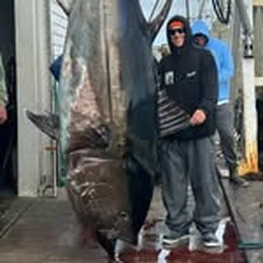@_balaram profile image