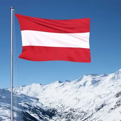@_beautiful_austria_ profile image