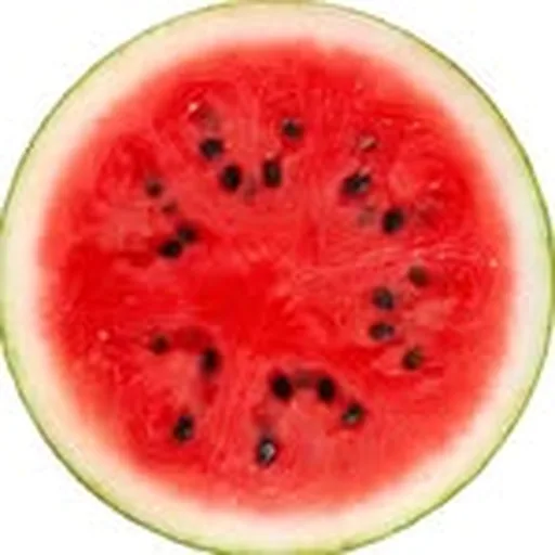 @_bushbby_ profile image
