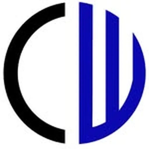 @_capitalwize_ profile image