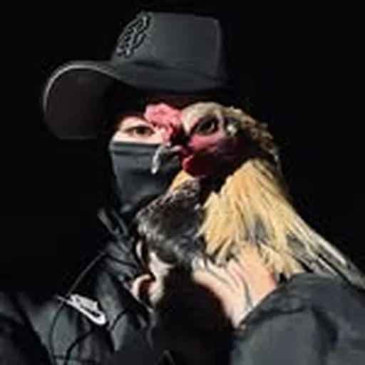 @_diabbla_ profile image