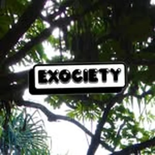 @_exociety profile image