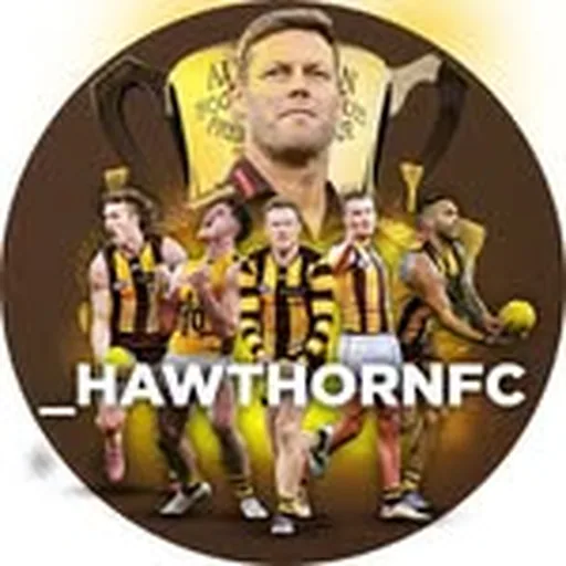 @_hawthornfc profile image