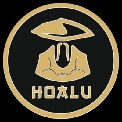 @_hoalu_ profile image