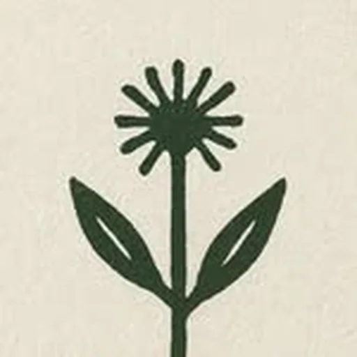 @_houseofarcana_ profile image