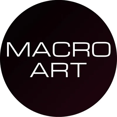 @_macroart profile image