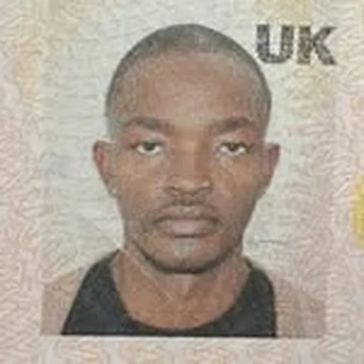 @_mattrams profile image