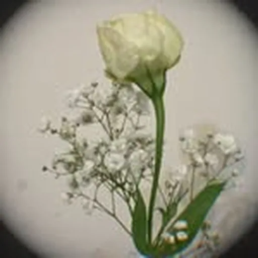 @_n2_plan profile image