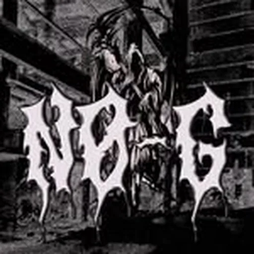 @_no.g_ profile image