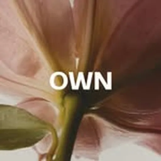 @_ownindia profile image