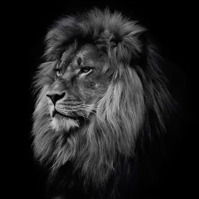 @_rohan__rohu profile image