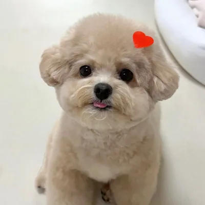 @_roongzi_ profile image