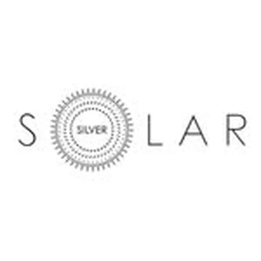 @_solarsilver_ profile image