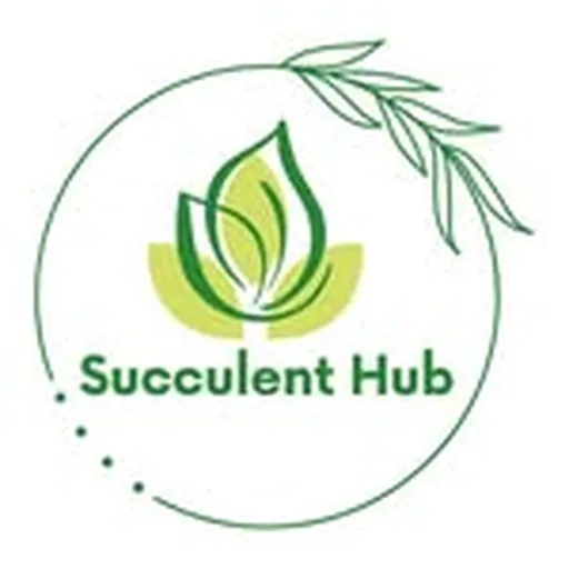 @_succulent_hub_india profile image