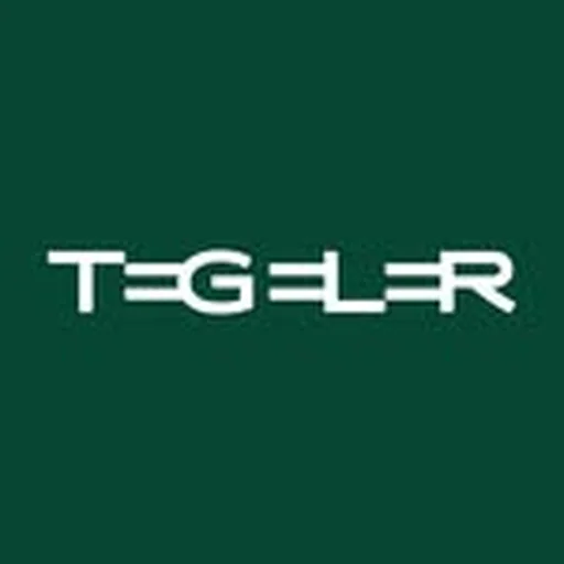 @_tegeler_ profile image