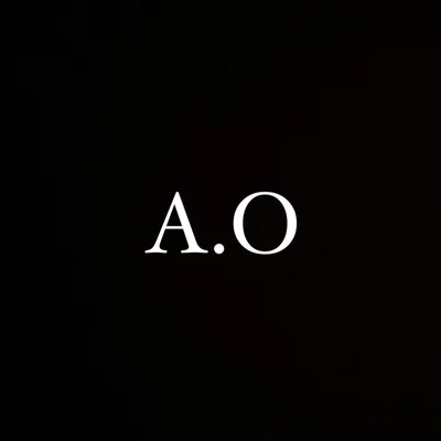 @a.o_team_official profile image