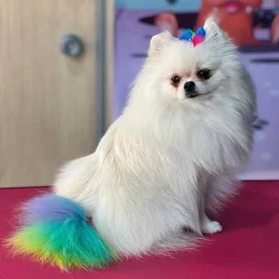 @a_katharinaspitz profile image