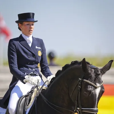 @a_p_s_dressage profile image