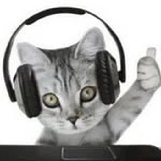 @aamba.c profile image