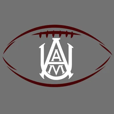 @aamufb profile image