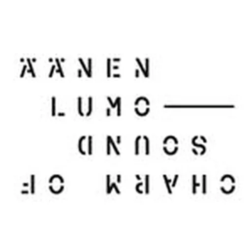 @aanenlumo profile image