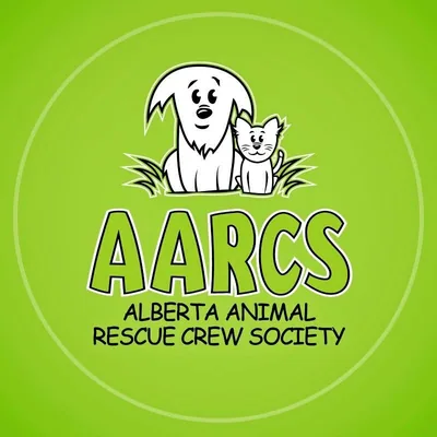 @aarcs profile image