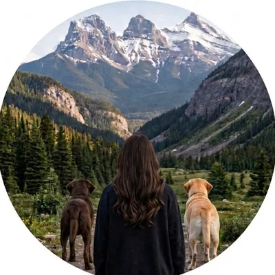 @abrunetteandherlabradors profile image