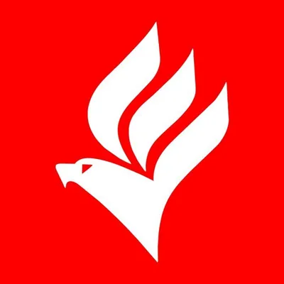 @academiagavioes profile image