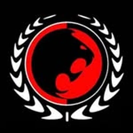 @academiagracie profile image